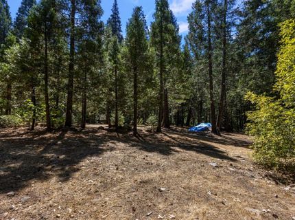 12625 Zeibright Rd, Nevada City, CA 95959 Photo