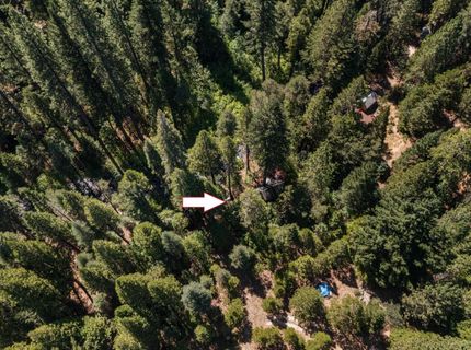 12625 Zeibright Rd, Nevada City, CA 95959 Photo