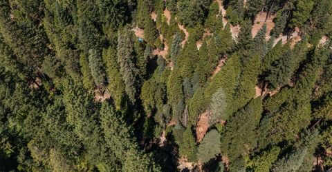 12625 Zeibright Rd, Nevada City, CA 95959 Photo