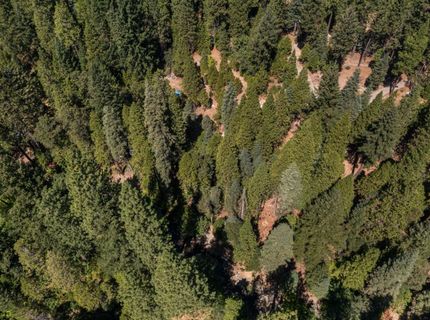 12625 Zeibright Rd, Nevada City, CA 95959 Photo