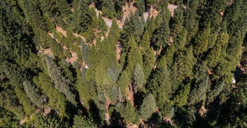 12625 Zeibright Rd, Nevada City, CA 95959 Photo