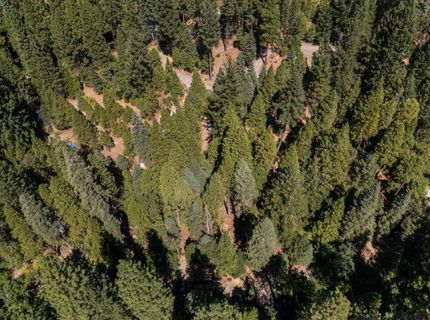 12625 Zeibright Rd, Nevada City, CA 95959 Photo