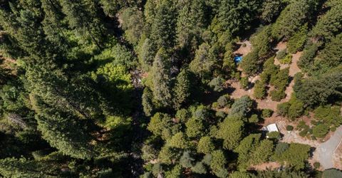 12625 Zeibright Rd, Nevada City, CA 95959 Photo
