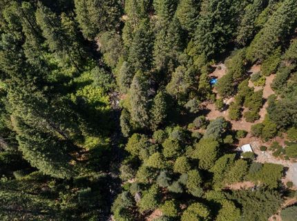 12625 Zeibright Rd, Nevada City, CA 95959 Photo