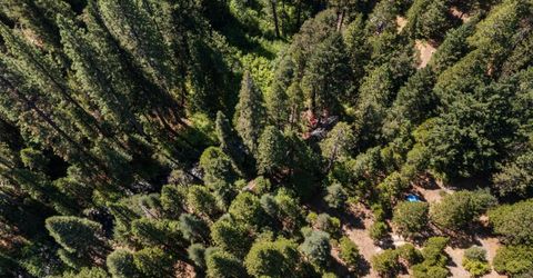 12625 Zeibright Rd, Nevada City, CA 95959 Photo