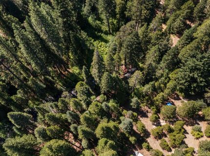 12625 Zeibright Rd, Nevada City, CA 95959 Photo