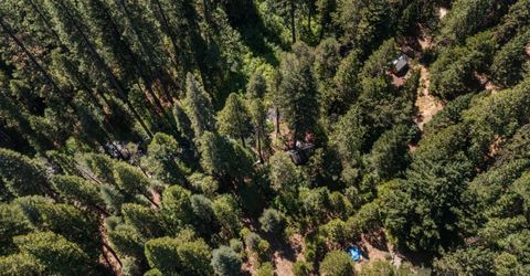 12625 Zeibright Rd, Nevada City, CA 95959 Photo