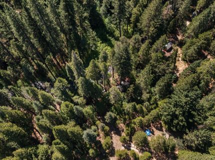 12625 Zeibright Rd, Nevada City, CA 95959 Photo