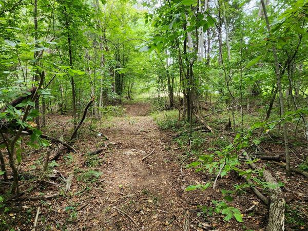 2754 Scribners Mill Rd , Culleoka, TN 38451