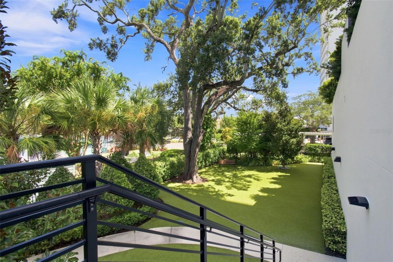 2619 Bayshore Boulevard, Unit 1200, Tampa, FL 33629 Photo