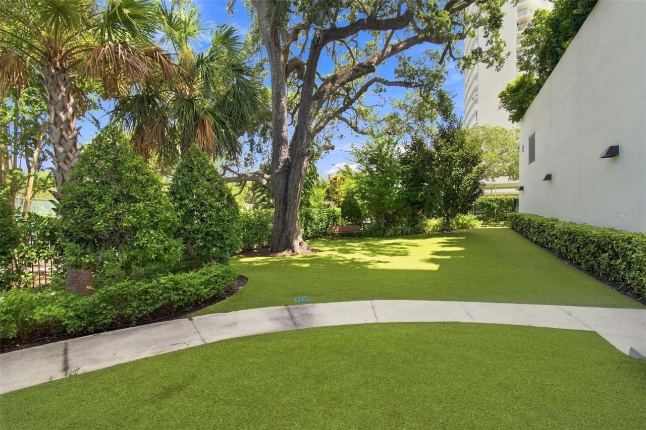 2619 Bayshore Boulevard, Unit 1200, Tampa, FL 33629 Photo