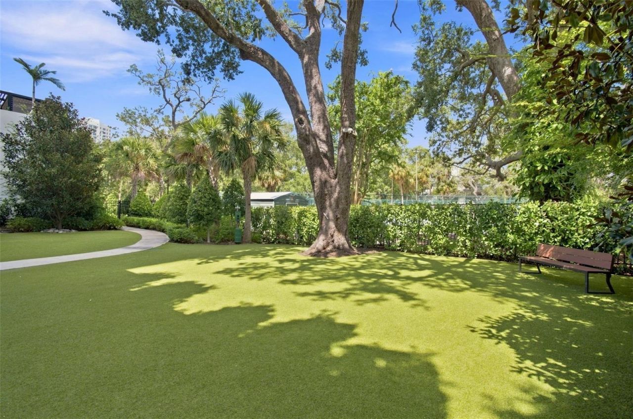 2619 Bayshore Boulevard, Unit 1200, Tampa, FL 33629 Photo