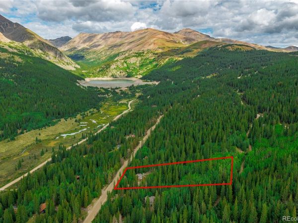 420 Nuthatch Drive, Alma, CO 80420