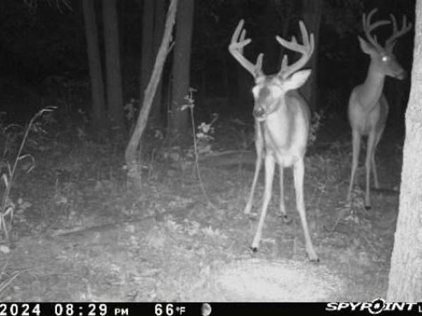 160 Highway N, Stover, MO 65078
