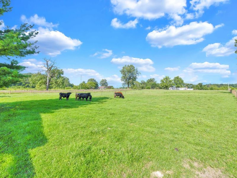 14373 Weaver Road , Marysville, OH 43040 Photo 58