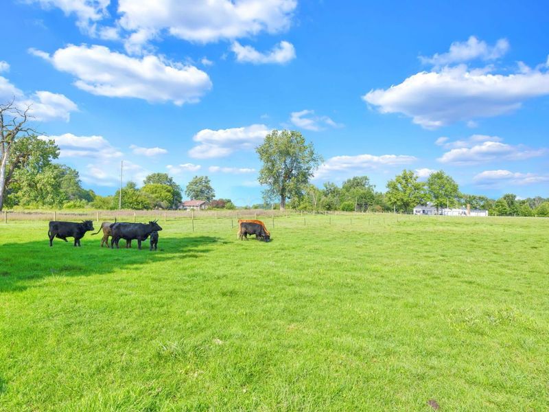 14373 Weaver Road , Marysville, OH 43040 Photo 59