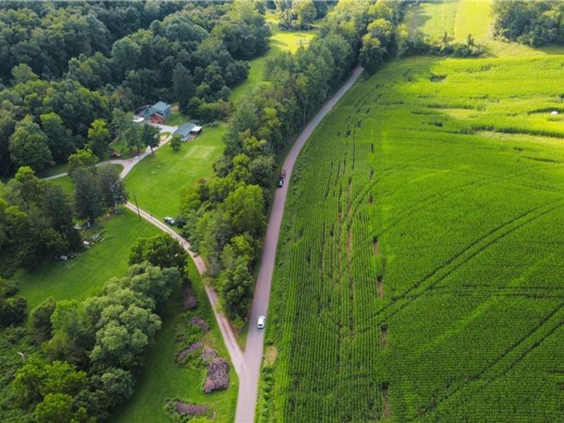 24981 Township Road 26 Road, Coshocton, OH 43812 Photo 19
