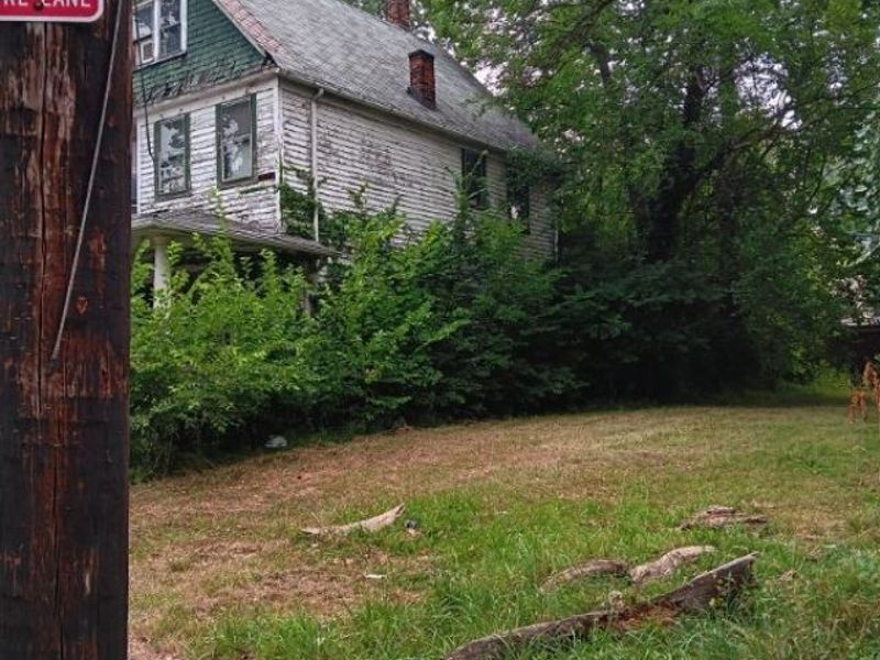 2249 E 81st Street, Cleveland, OH 44103 Photo 24