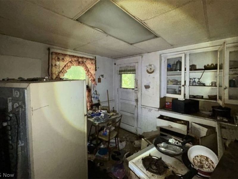 2249 E 81st Street, Cleveland, OH 44103 Photo 6