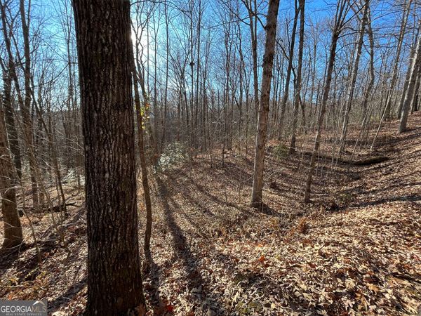 LOT #2 Forest Canopy Way, Clayton, GA 30525