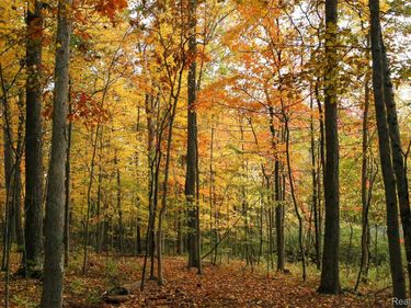 5555 Mast Road , Webster Township, Mi 48130