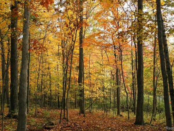 5555 Mast Road , Webster Township, Mi 48130