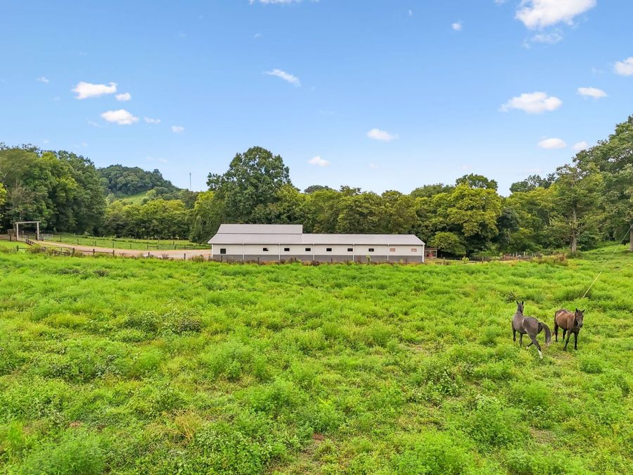 Property Image 43