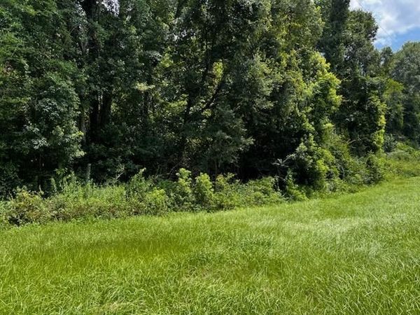 0000 Solomon Dairy Road , Quincy, FL 32351