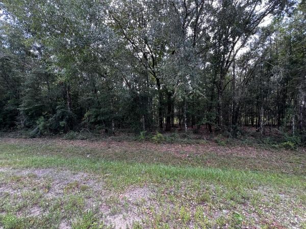 00000 Solomon Dairy Road , Quincy, FL 32332