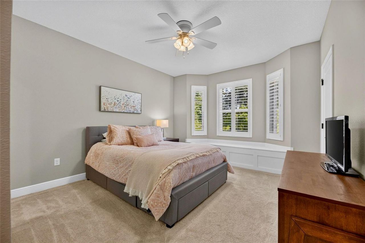 303 W Chapman Road, Lutz, FL 33548 Photo