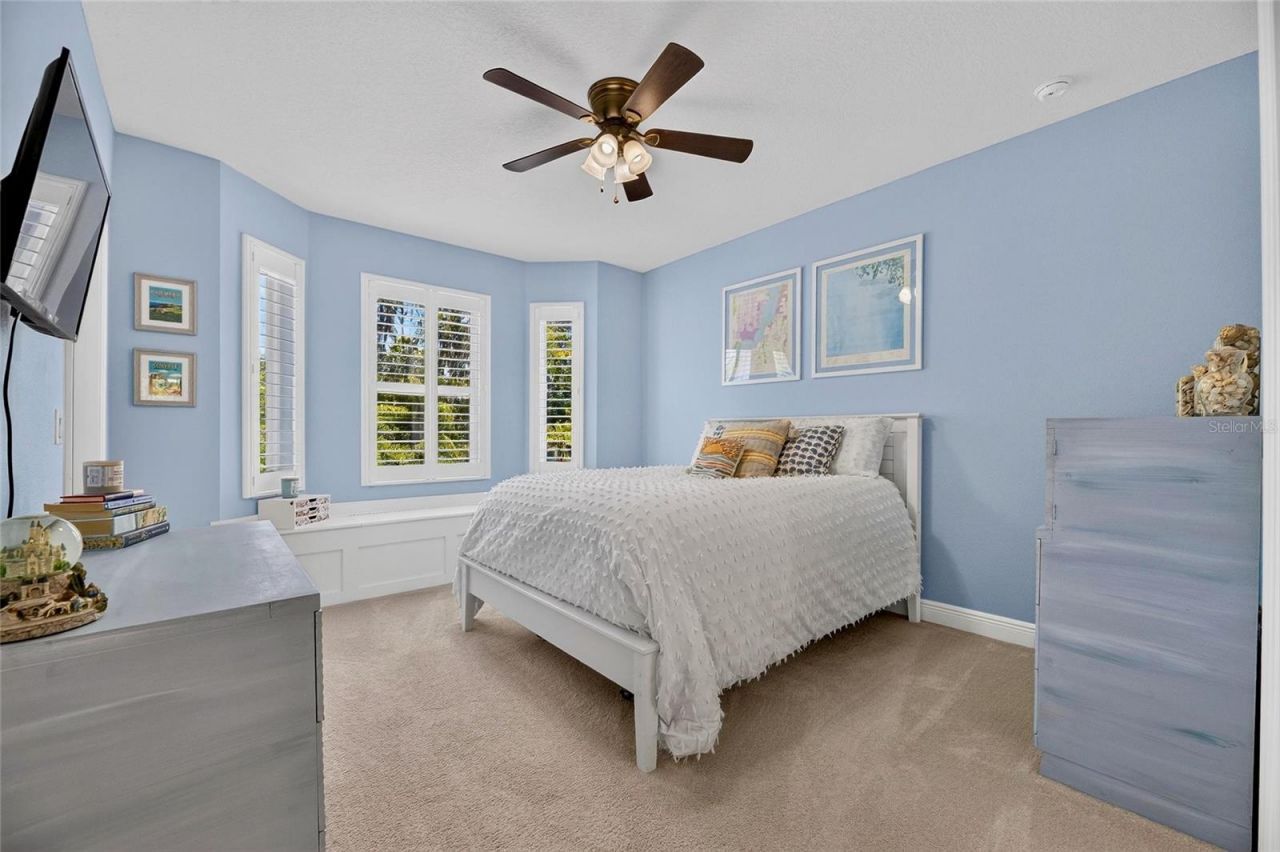 303 W Chapman Road, Lutz, FL 33548 Photo