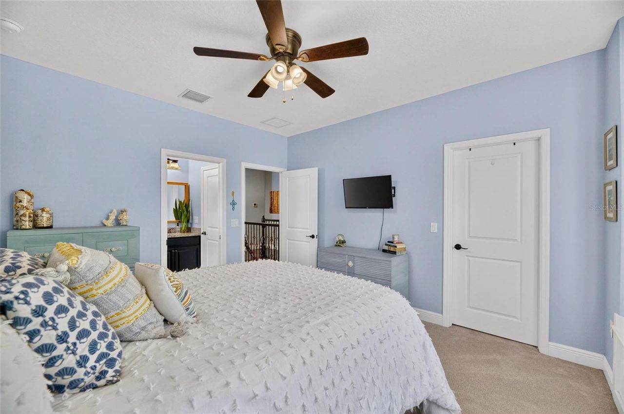 303 W Chapman Road, Lutz, FL 33548 Photo