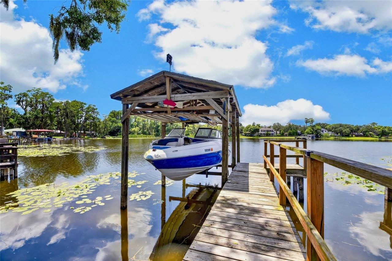 303 W Chapman Road, Lutz, FL 33548 Photo