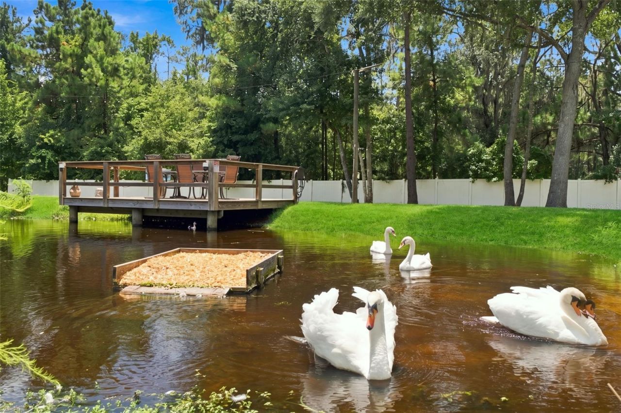 22259 Skyview Circle, Brooksville, FL 34602 Photo