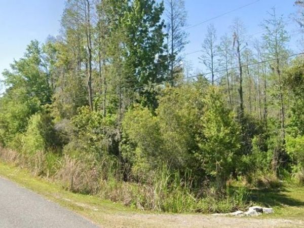 26611 C C LANE, WESLEY CHAPEL, FL 33544