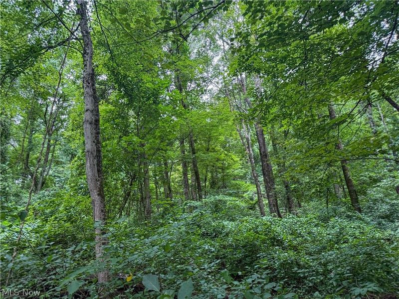 62459 Greenlawn Road, Quaker City, OH 43773 Photo 12