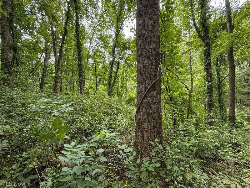 62459 Greenlawn Road, Quaker City, OH 43773 Photo 14