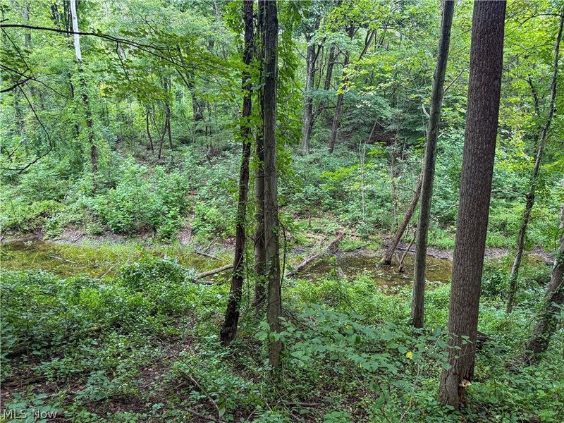 62459 Greenlawn Road, Quaker City, OH 43773 Photo 15