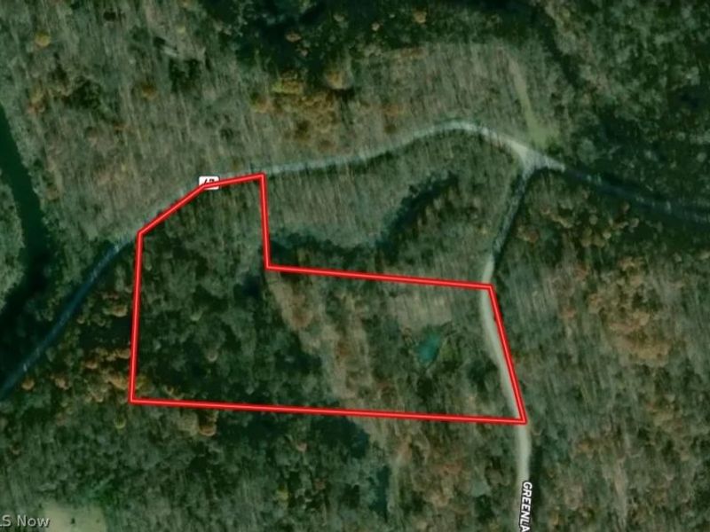62459 Greenlawn Road, Quaker City, OH 43773 Photo 6