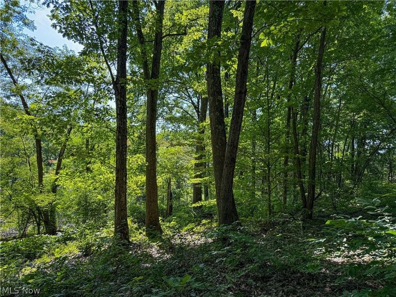 62459 Greenlawn Road, Quaker City, OH 43773 Photo 9