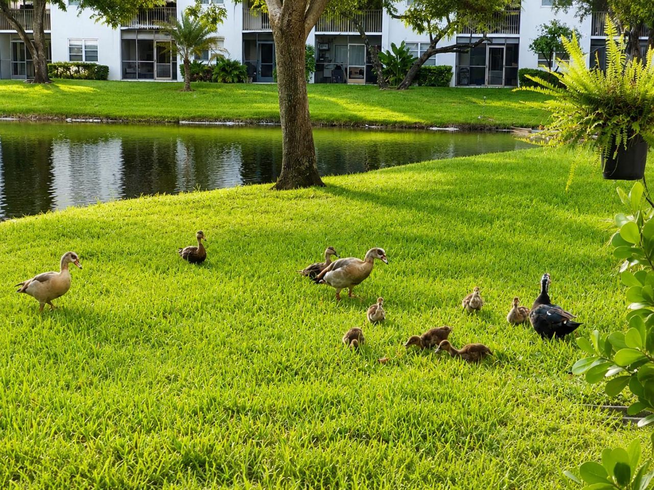 2226 N Cypress Bend Drive, Unit 103, Pompano Beach, FL 33069 Photo