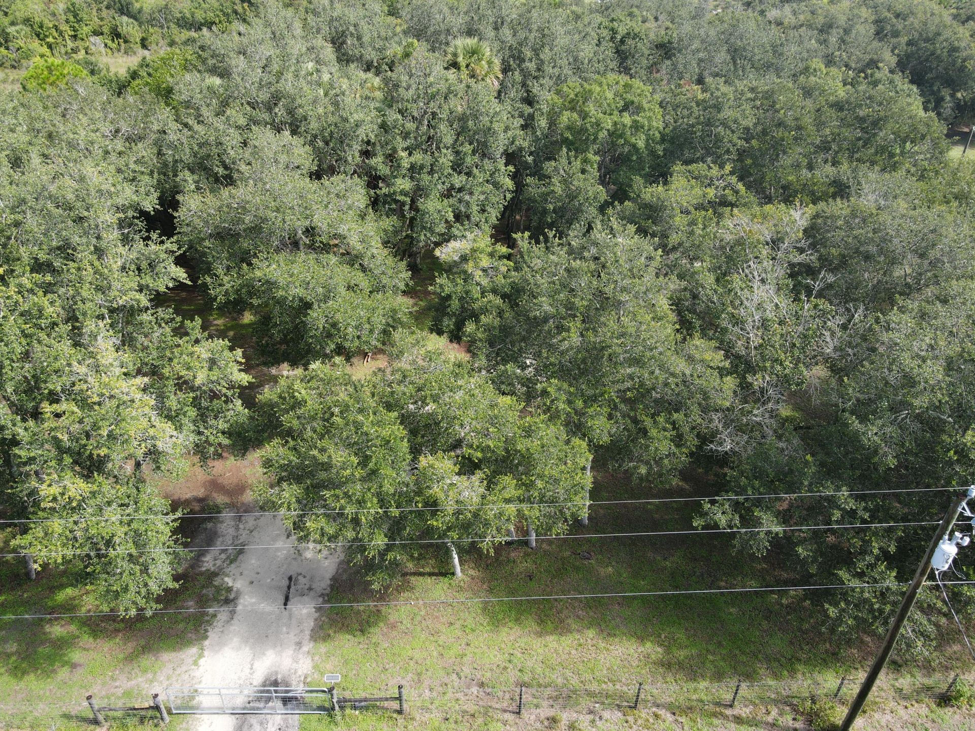 14985 NW 300th Street, Okeechobee, FL 34972 Photo