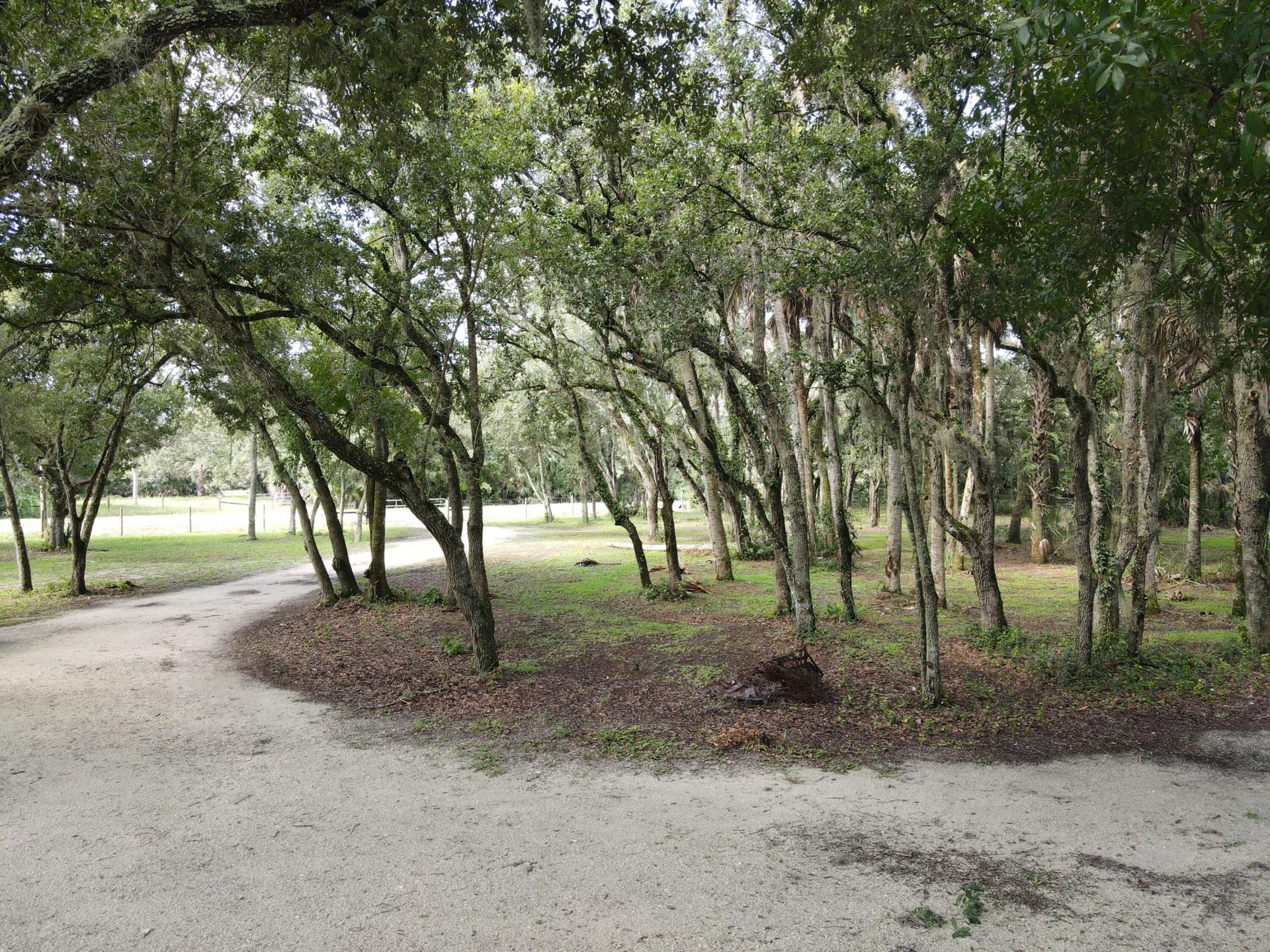 14985 NW 300th Street, Okeechobee, FL 34972 Photo