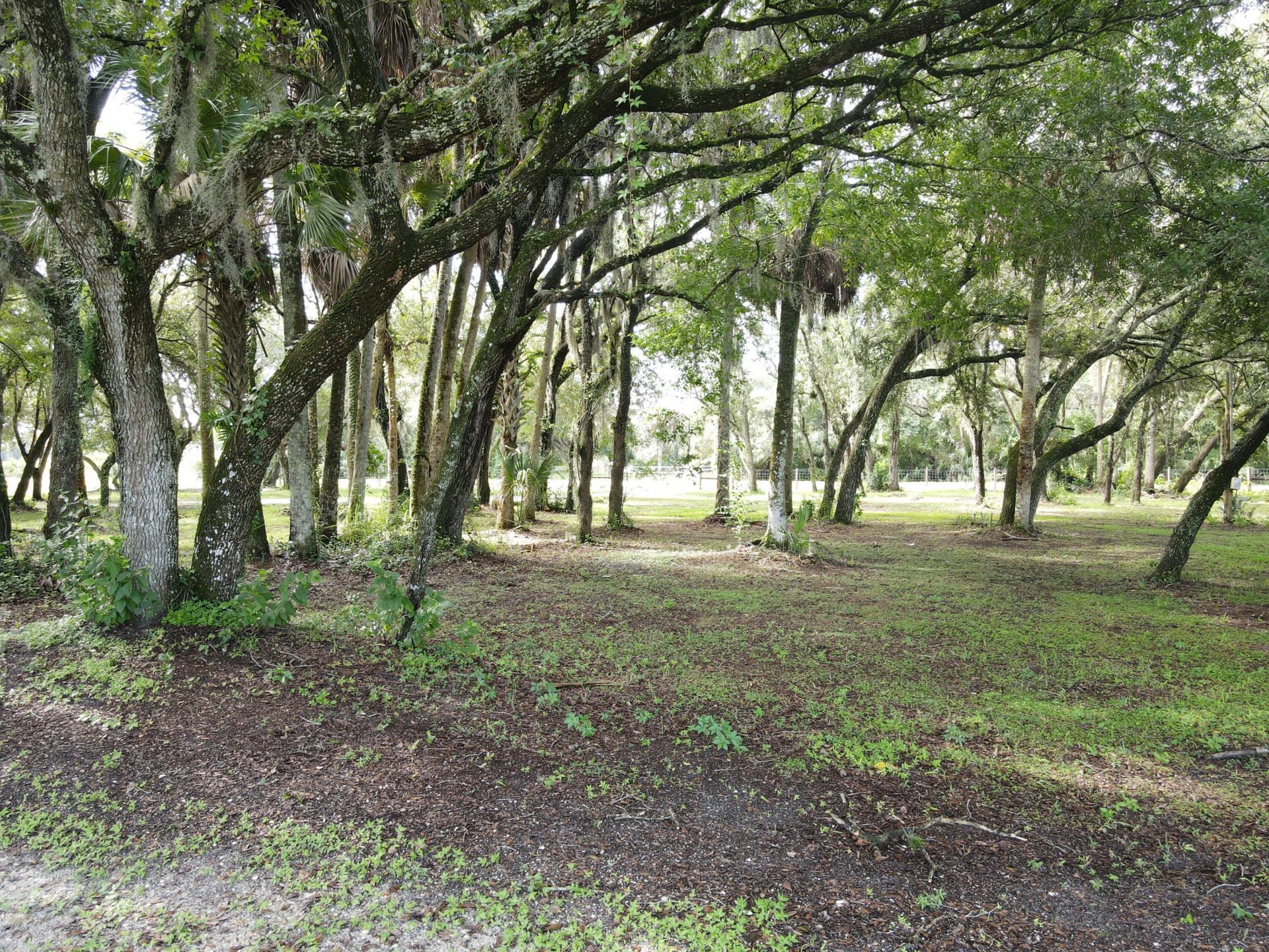 14985 NW 300th Street, Okeechobee, FL 34972 Photo