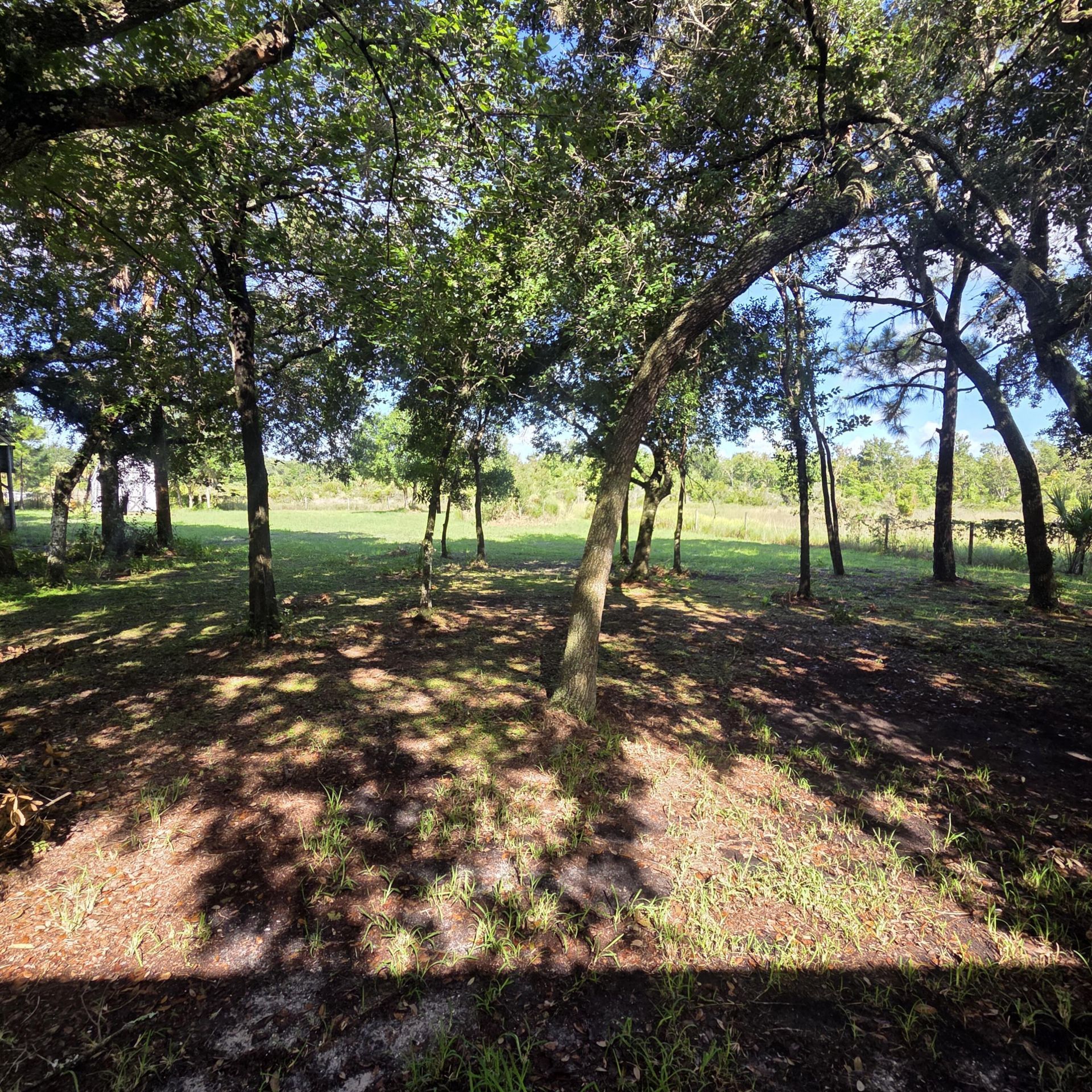 14985 NW 300th Street, Okeechobee, FL 34972 Photo