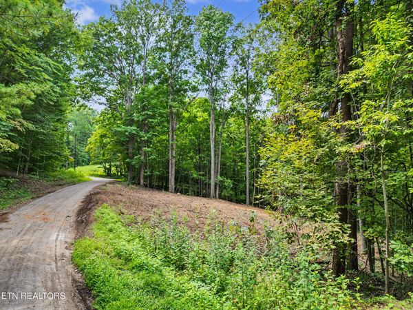 Tumbling Run Estates , Maynardville, TN 37807