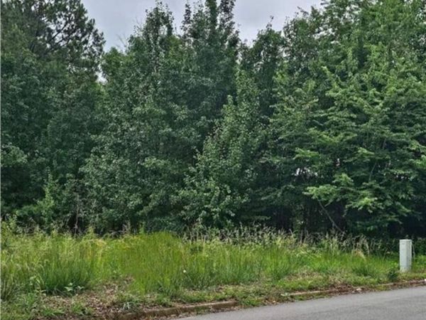 1546 Austin Drive, Decatur, GA 30032