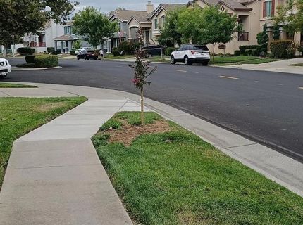 9361 Baskin Ct, Elk Grove, CA 95758 Photo
