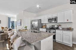 114 New Spring Way photo 4