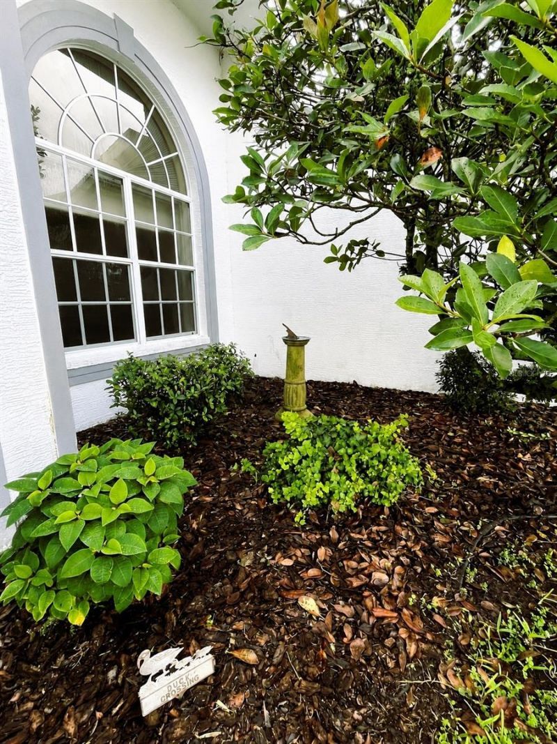 6513 Cardinal Crest Drive , New Port Richey, FL 34655 Photo